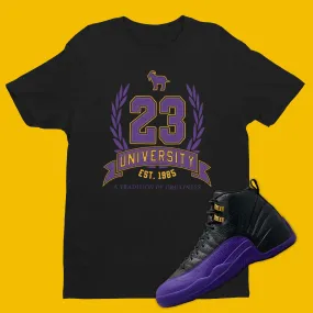 23 University Shirt Matching Air Jordan 12 Field Purple