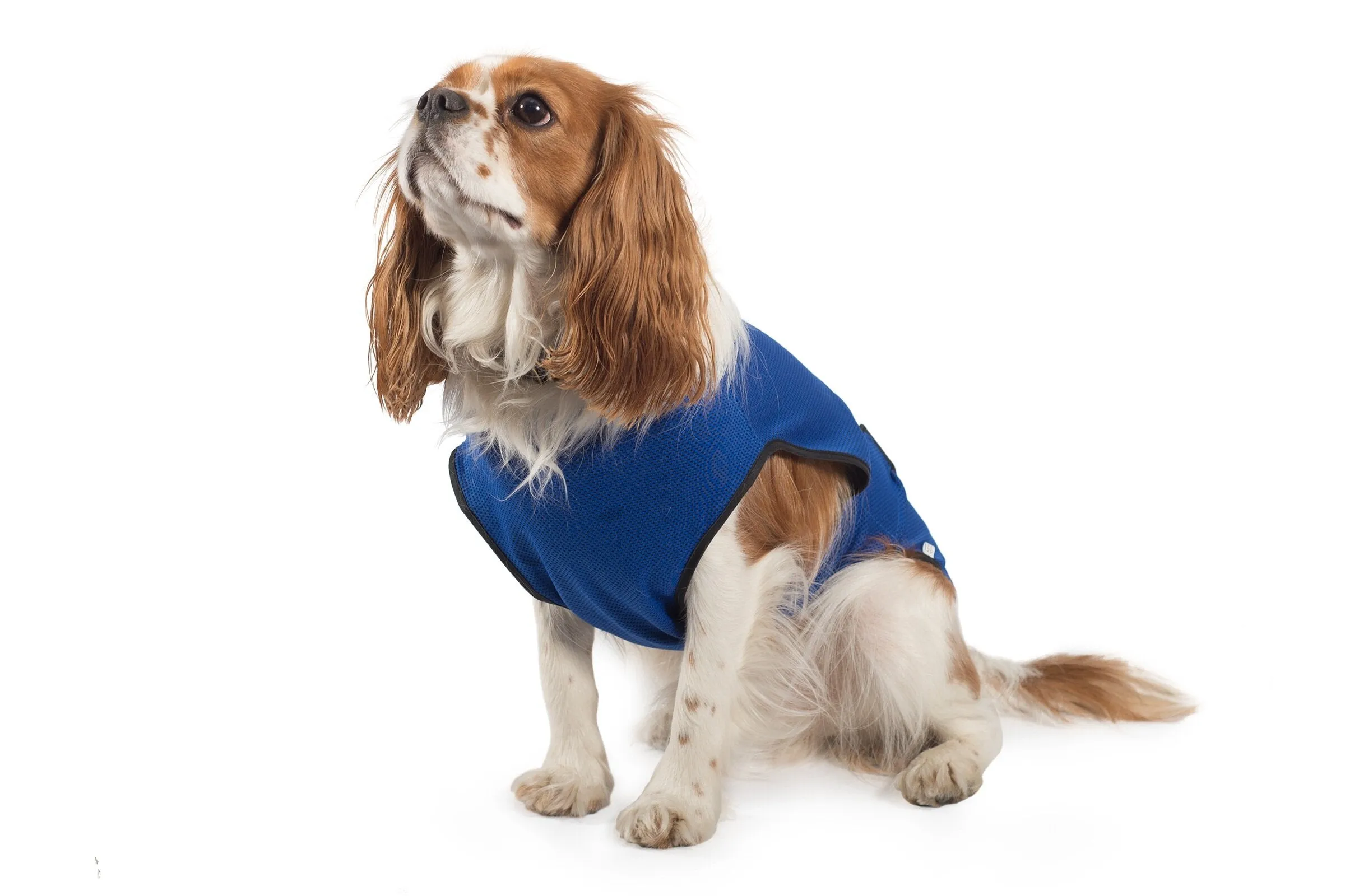 Ancol Cooling Dog Vest