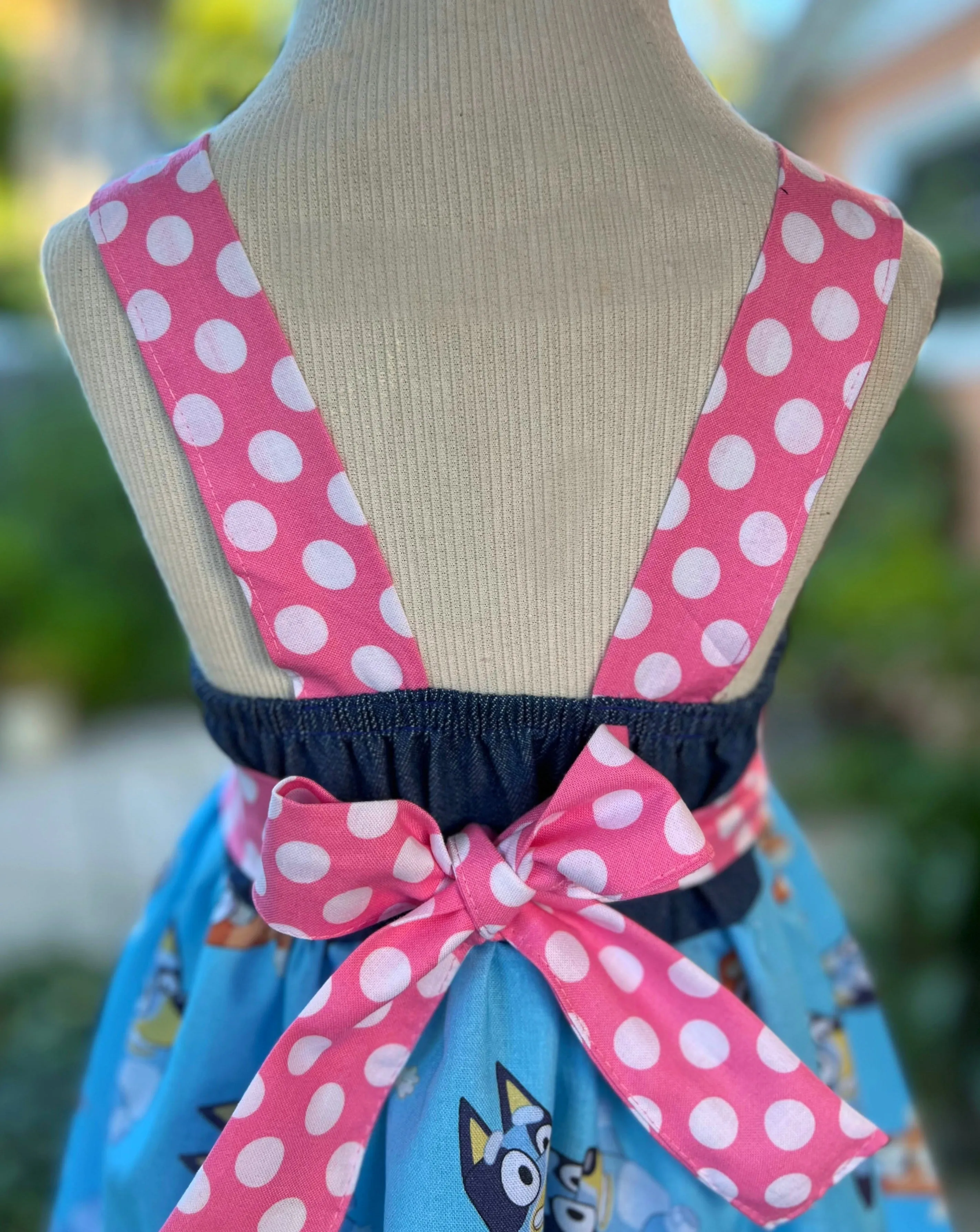 Bluey Birthday Girl Dress