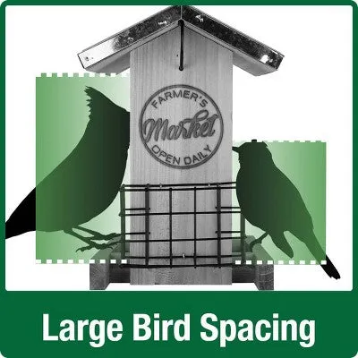 New - Nature's Way Wild Wings 3qt Hopper Feeder with Suet Cages 11" - Weathered Galvanized