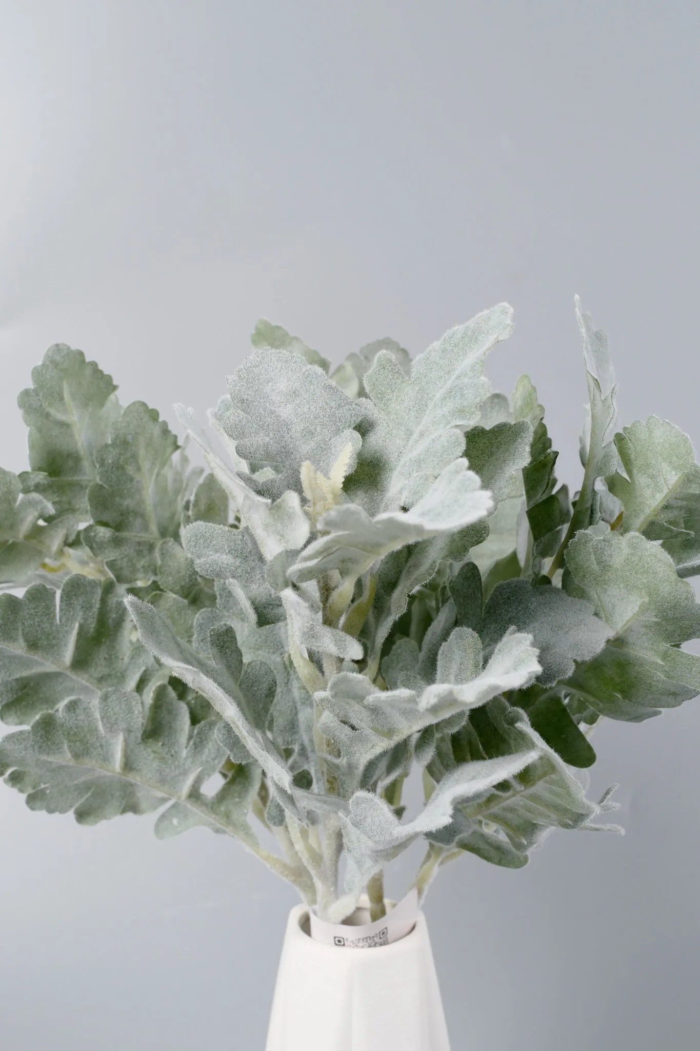 Premium Real Touch Lamb's Ear Stem