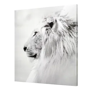 Regal Lion Black and White Glossy Canvas Wall Art Print - 30" x 30"