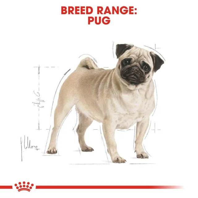 Royal Canin Pug Adult