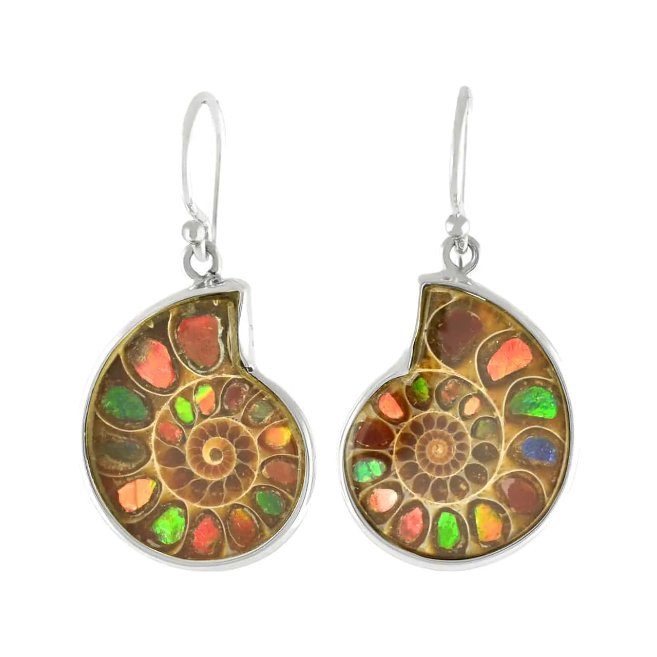 Starborn Ammolite inlaid Ammonite Earrings (small)