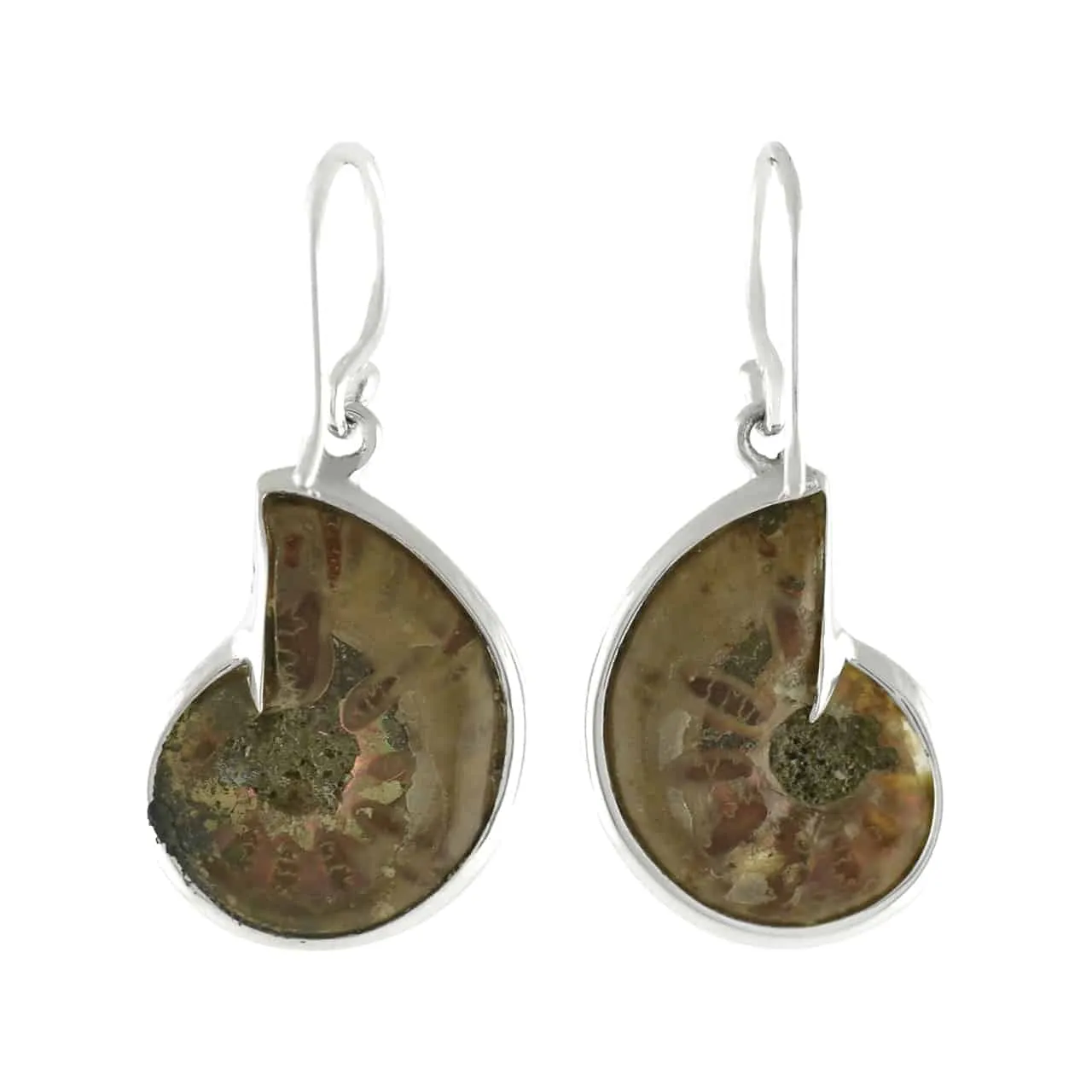 Starborn Ammolite inlaid Ammonite Earrings (small)