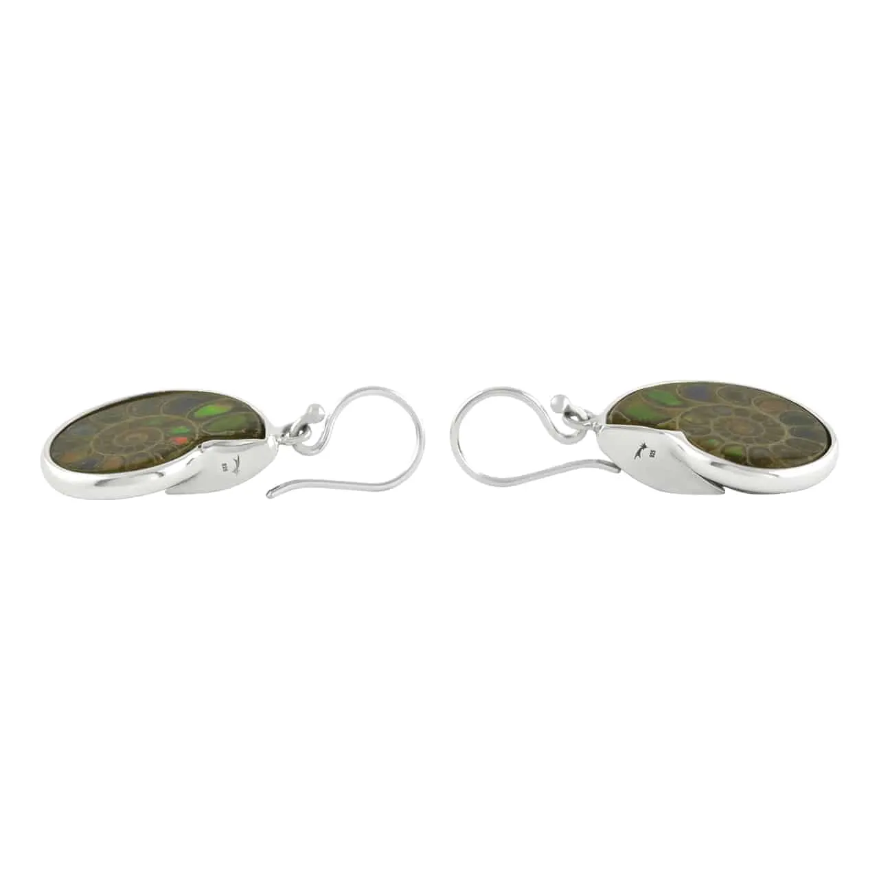 Starborn Ammolite inlaid Ammonite Earrings (small)