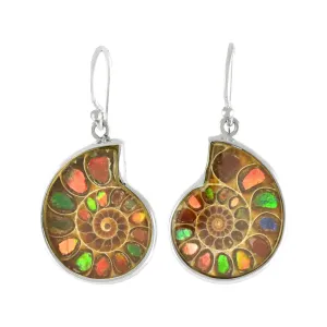 Starborn Ammolite inlaid Ammonite Earrings (small)