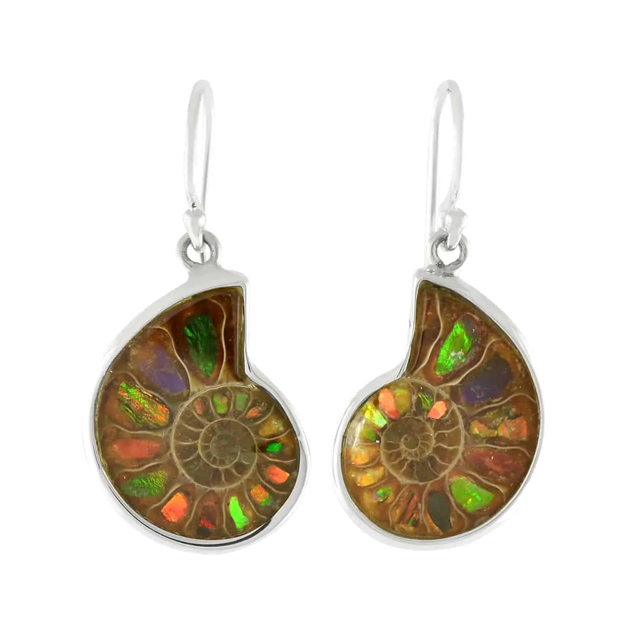 Starborn Ammolite inlaid Ammonite Earrings (small)