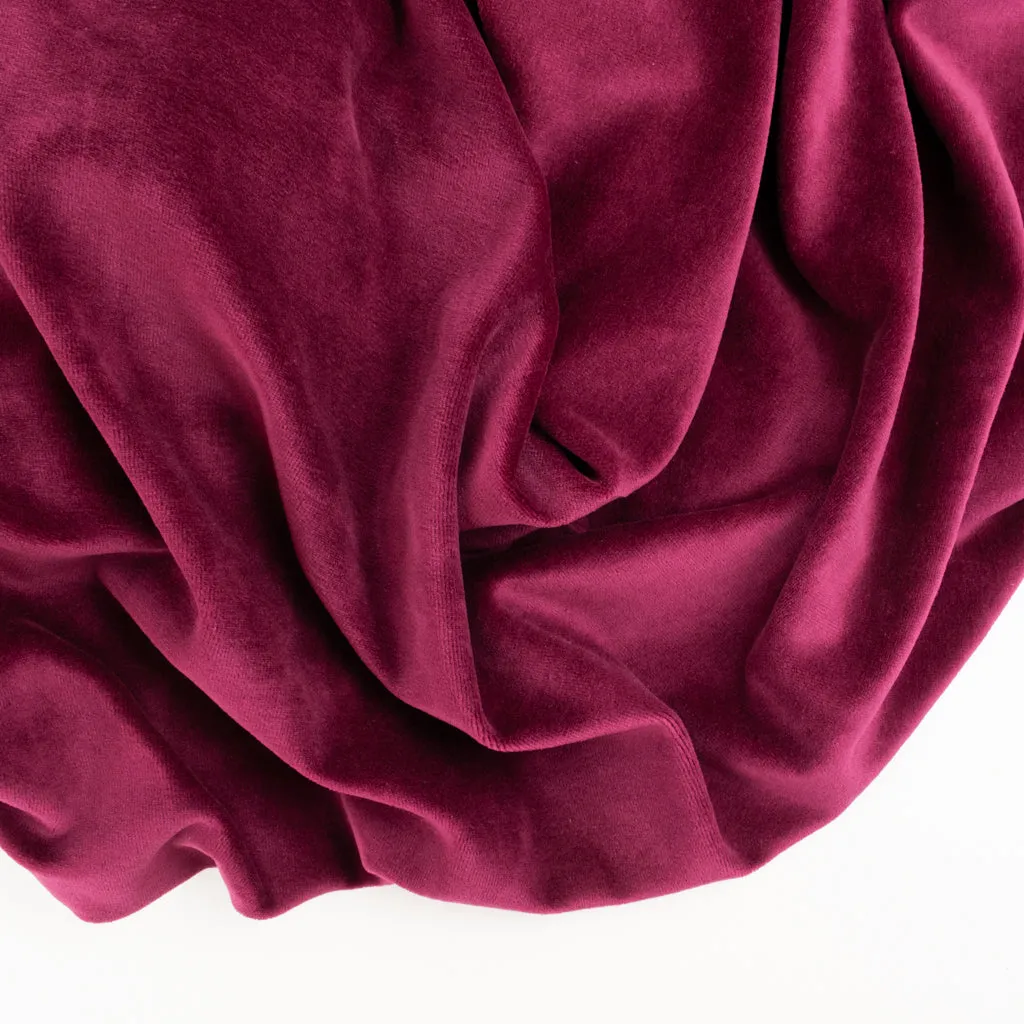 Stretch Cotton Modal Velour - Cerise