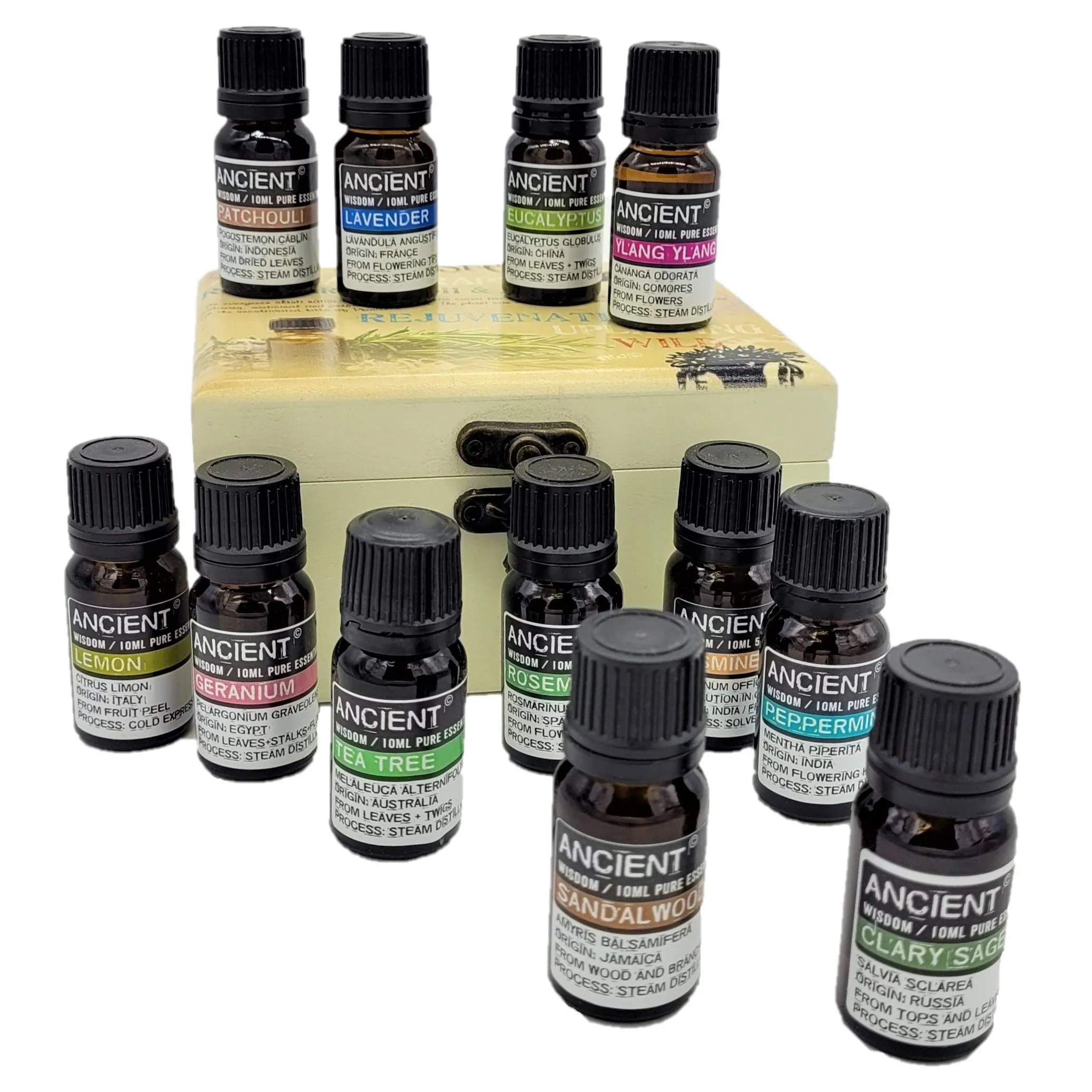 Top Twelve Essential Oil Kit